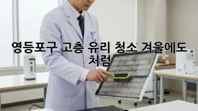 ✨ 영등포구 고층 유리 청소, 겨울에도 💎처럼! #