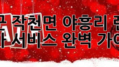 강진군 작천면 야흥리 렌트카: 추가 서비스 완벽 가이드